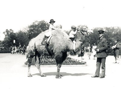 Een kameelrit in ZSL London Zoo, september 1928 door Frederick William Bond